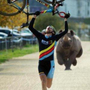 Foto Divertente: Ciclista che corre con dietro rinoceronte