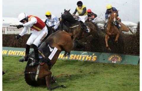 Foto Divertente: Cavallo che cade durante salto ad ostacoli