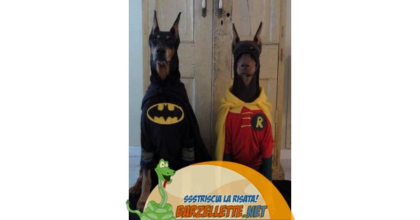 Gioco da mordere per cani Batman