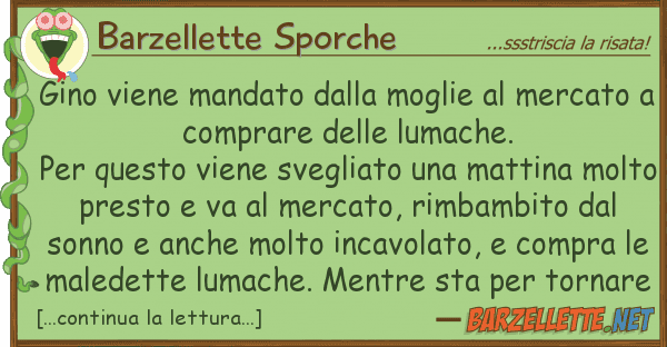 Barzellette Sporche gino viene mandato moglie merca