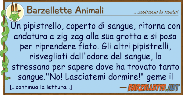 Barzellette Animali pipistrello, coperto sangue, ritor