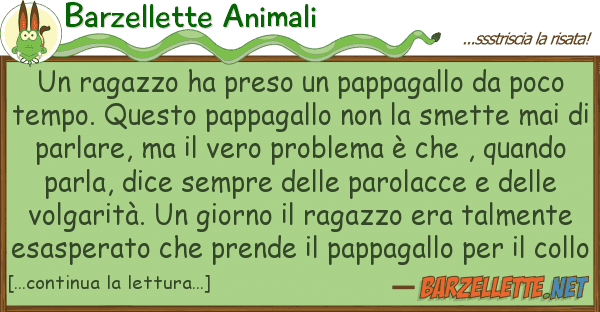 Barzellette Animali ragazzo ha preso pappagallo poc