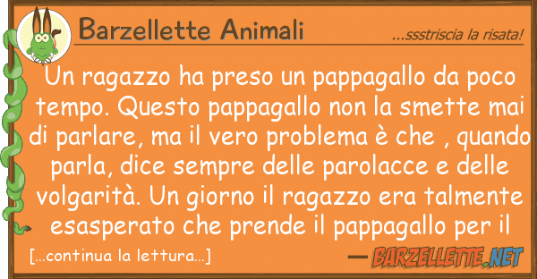 Barzellette Animali ragazzo ha preso pappagallo poc