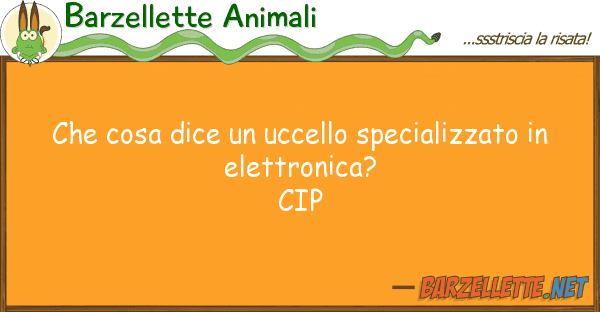 Barzellette Animali cosa dice uccello specializzato