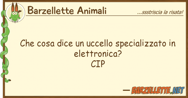 Barzellette Animali cosa dice uccello specializzato
