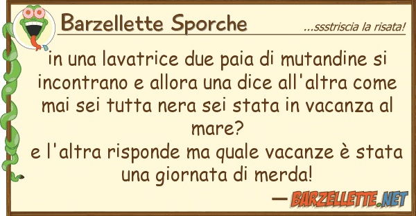 Barzellette Sporche lavatrice due paia mutandine s