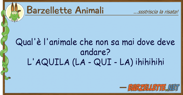 Barzellette Animali qual'è l'animale sa mai de