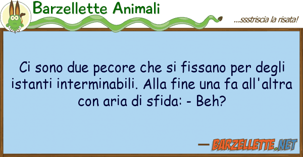 Barzellette Animali sono due pecore fissano de