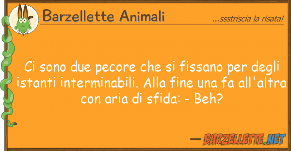 Barzellette Animali sono due pecore fissano de