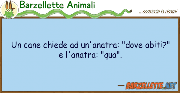 Barzellette Animali cane chiede un'anatra: "dove abiti