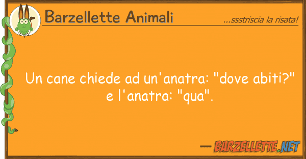 Barzellette Animali cane chiede un'anatra: "dove abiti