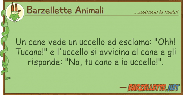 Barzellette Animali cane vede uccello esclama: "ohh