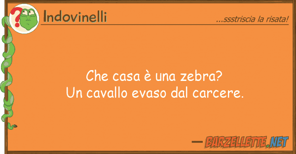 Indovinelli casa è zebra? cavallo evaso