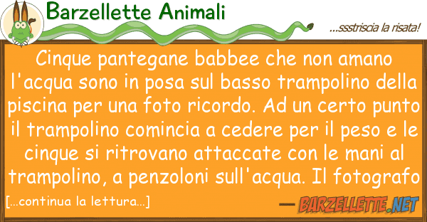 Barzellette Animali cinque pantegane babbee amano l'