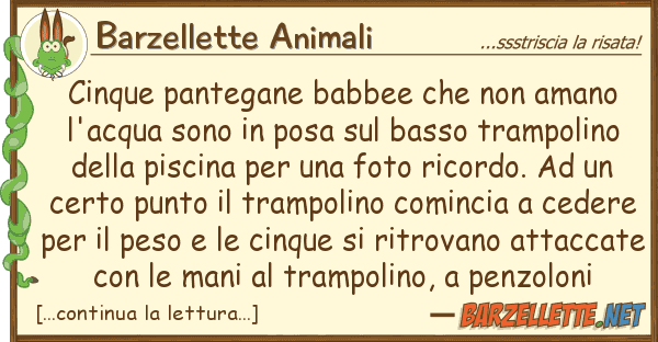Barzellette Animali cinque pantegane babbee amano l'