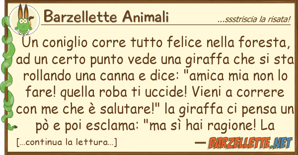 Barzellette Animali coniglio corre felice