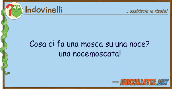 Indovinelli cosa fa mosca noce? una n
