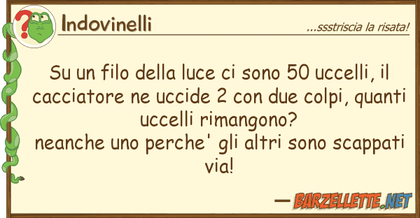 Indovinelli filo luce sono 50 uccelli