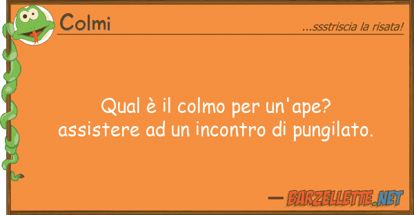 Colmi qual è colmo un'ape? assistere