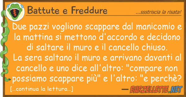 Battute e Freddure due pazzi vogliono scappare manicomi