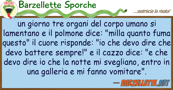 Barzellette Sporche giorno tre organi corpo umano