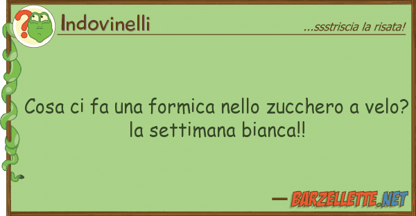 Indovinelli cosa fa formica zucchero