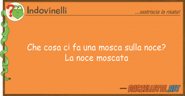 Indovinelli cosa fa mosca noce?