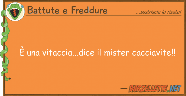 Battute e Freddure è vitaccia...dice mister cacciav