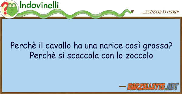Indovinelli perchè cavallo ha narice così g