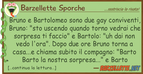 Barzellette Sporche bruno bartolomeo sono due gay conviven
