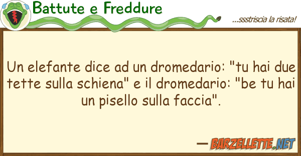 Battute e Freddure elefante dice dromedario: "tu h