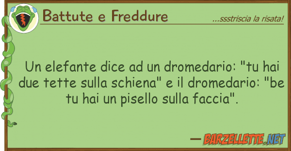 Battute e Freddure elefante dice dromedario: "tu h