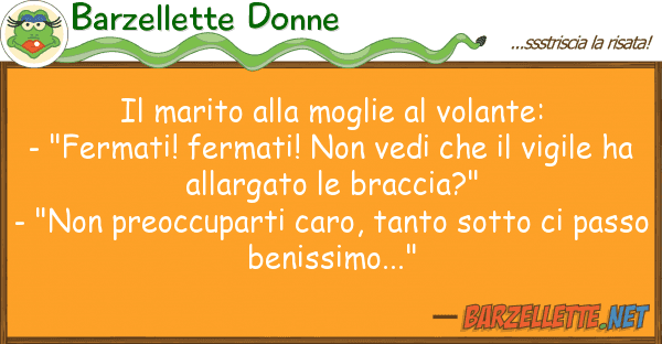 Barzellette Donne marito moglie volante: - "fe