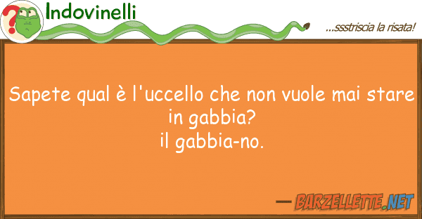 Indovinelli sapete qual è l'uccello vuole m
