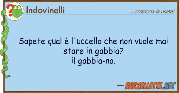 Indovinelli sapete qual è l'uccello vuole m