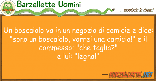 Barzellette Uomini boscaiolo va negozio camicie