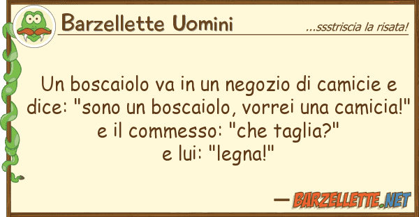 Barzellette Uomini boscaiolo va negozio camicie