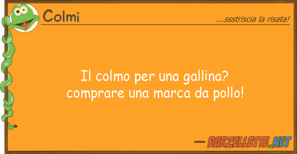 Colmi colmo gallina? comprare m
