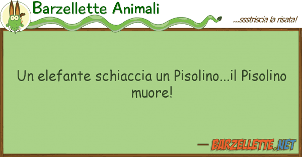 Barzellette Animali elefante schiaccia pisolino...il p