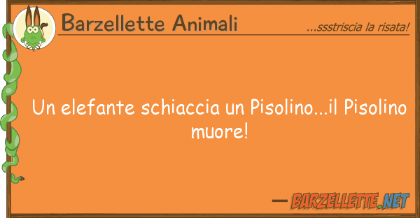 Barzellette Animali elefante schiaccia pisolino...il p