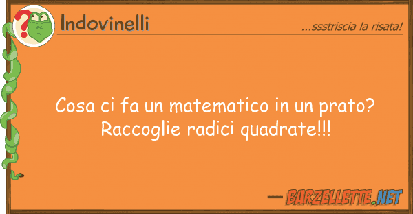 Indovinelli cosa fa matematico prato? ra
