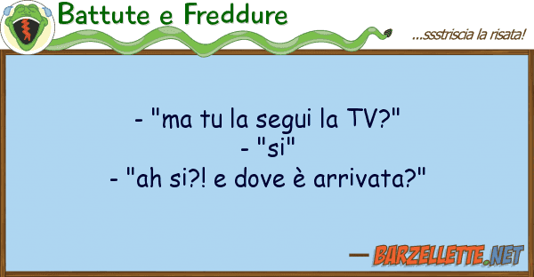 Battute e Freddure - "ma segui tv?" - "si" - "ah