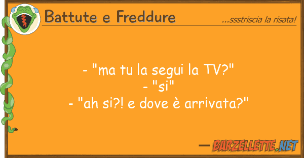 Battute e Freddure - "ma segui tv?" - "si" - "ah