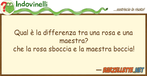 Indovinelli qual è differenza rosa