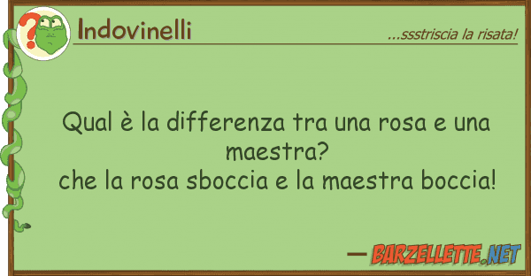 Indovinelli qual è differenza rosa