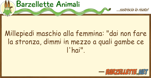 Barzellette Animali millepiedi maschio femmina: "dai no