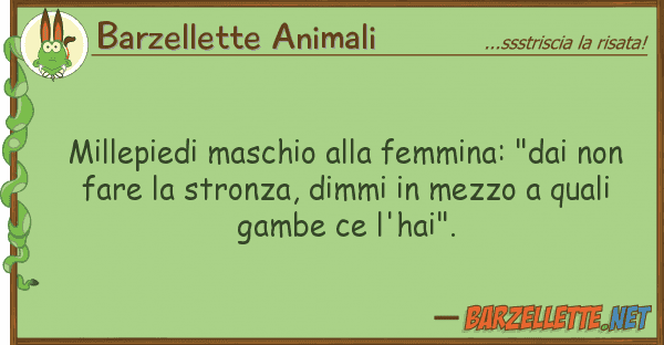 Barzellette Animali millepiedi maschio femmina: "dai no