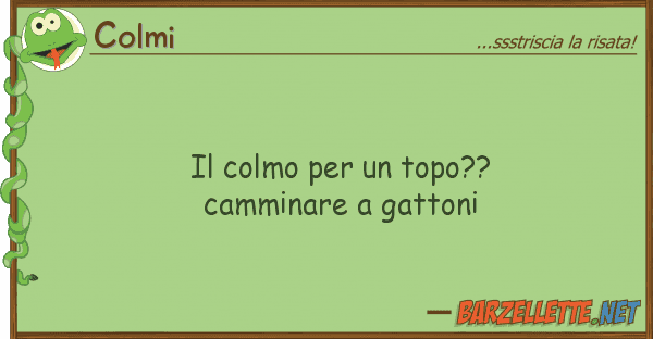 Colmi colmo topo?? camminare gatto