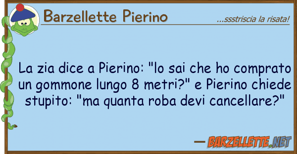 Barzellette Pierino zia dice pierino: "lo sai ho co