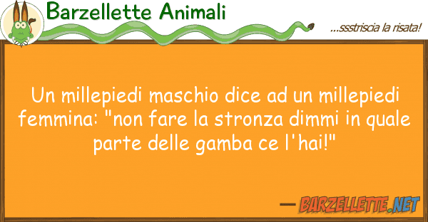 Barzellette Animali millepiedi maschio dice millepi